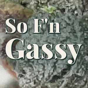 So F'n Gassy Cannabis Strain