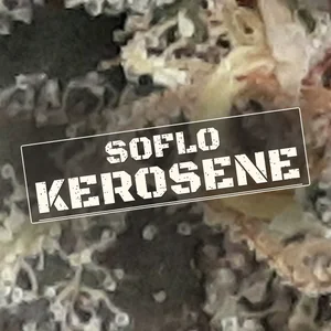 SoFlo Kerosene Cannabis Strain