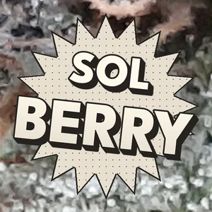 Sol Berry Cannabis Strain