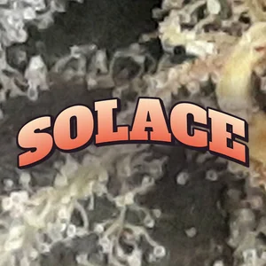 Solace Cannabis Strain
