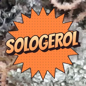 Sologerol Cannabis Strain