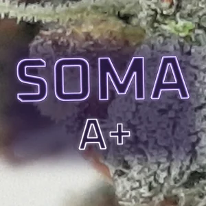 Soma A+ Cannabis Strain