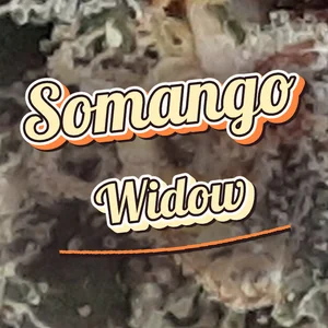 Somango Widow Cannabis Strain
