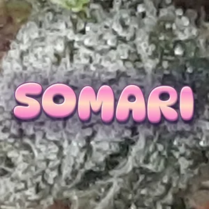 Somari Cannabis Strain