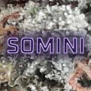 Somini Cannabis Strain