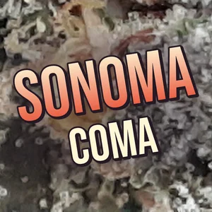 Sonoma Coma Cannabis Strain