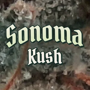 Sonoma Kush Cannabis Strain