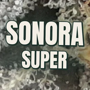 Sonora Super Cannabis Strain