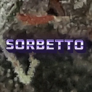 Sorbetto Cannabis Strain