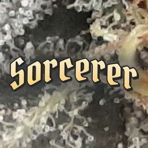 Sorcerer Cannabis Strain