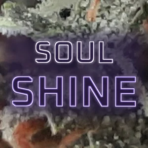 Soul Shine Cannabis Strain