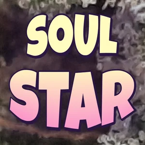 Soul Star Cannabis Strain