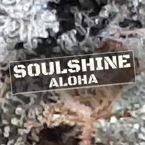 Soulshine Aloha Cannabis Strain
