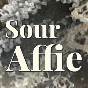 Sour Affie Cannabis Strain