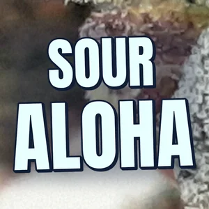 Sour Aloha Cannabis Strain