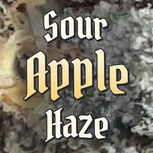 Sour Apple Haze Cannabis Strain