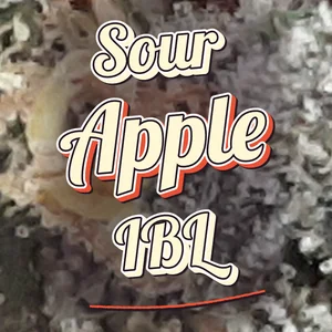 Sour Apple IBL Cannabis Strain