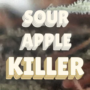 Sour Apple Killer Cannabis Strain