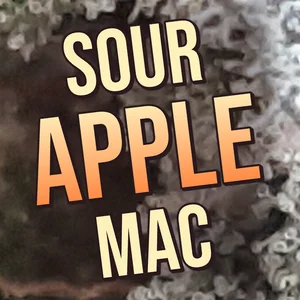 Sour Apple MAC Cannabis Strain