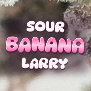 Sour Banana Larry Cannabis Strain