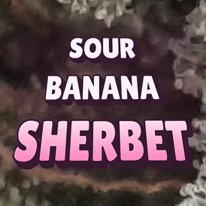 Sour Banana Sherbet Cannabis Strain