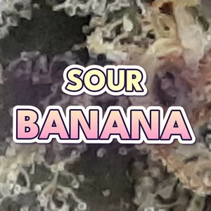 Sour Banana Cannabis Strain