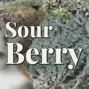 Sour Berry Cannabis Strain