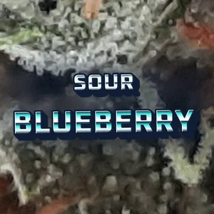 Sour Blueberry Cannabis Strain