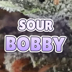 Sour Bobby Cannabis Strain