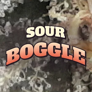 Sour Boggle Cannabis Strain