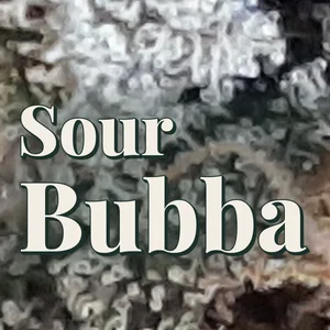 Sour Bubba Cannabis Strain