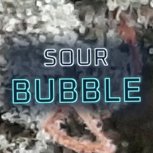Sour Bubble Cannabis Strain