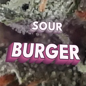 Sour Burger Cannabis Strain