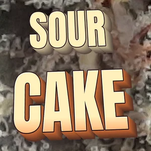 Sour Cake Cannabis Strain