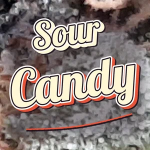 Sour Candy Cannabis Strain