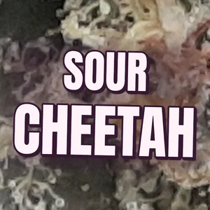 Sour Cheetah Cannabis Strain