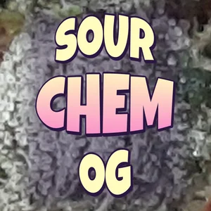 Sour Chem OG Cannabis Strain