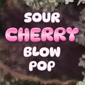 Sour Cherry Blow Pop Cannabis Strain