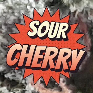 Sour Cherry Cannabis Strain