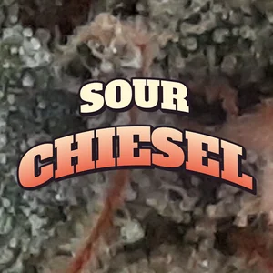 Sour Chiesel Cannabis Strain