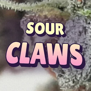 Sour Claws Cannabis Strain
