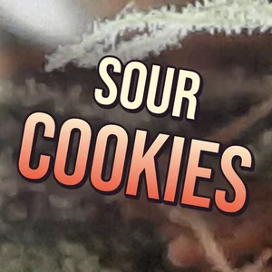 Sour Cookies Cannabis Strain