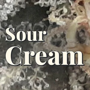 Sour Cream Cannabis Strain