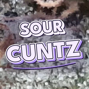 Sour Cuntz Cannabis Strain