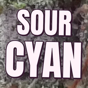 Sour Cyan Cannabis Strain