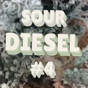 Sour Diesel #4 Cannabis Strain