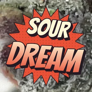 Sour Dream Cannabis Strain