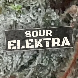 Sour Elektra Cannabis Strain