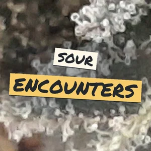 Sour Encounters Cannabis Strain