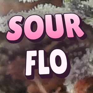 Sour Flo Cannabis Strain